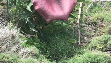 Residence Le Terrazze - Foto 5