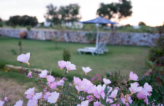 Electra Studios - Foto 56