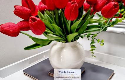 West Park Annex - Central Wolverhampton - Foto 21