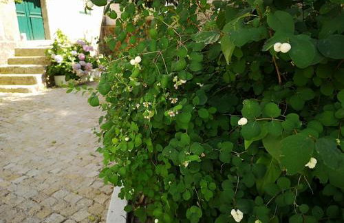 Refúgio de Calheiros - Foto 10