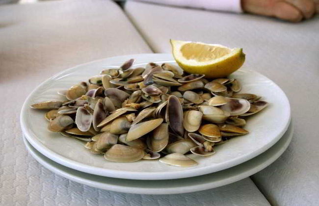 Leo Punta Umbria - Foto 50