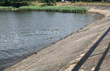 apartament LeśnaCedzyna - Foto 56