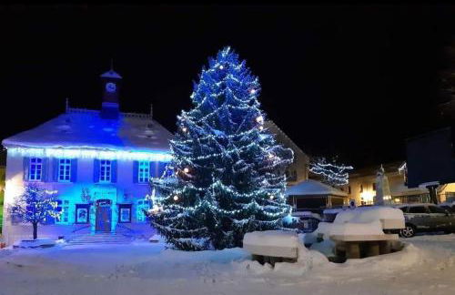 VILLARD DE LANS - Foto 5