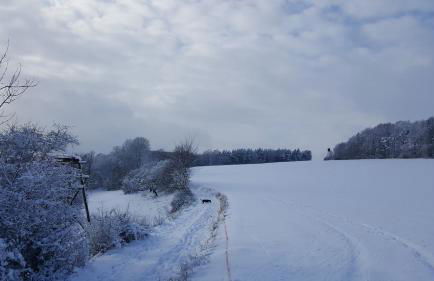 Bungalow Schwarzatalblick in Bad Blankenburg Ortsteil Böhlscheiben - Foto 80