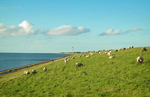 Haus Deichschaf - Foto 7