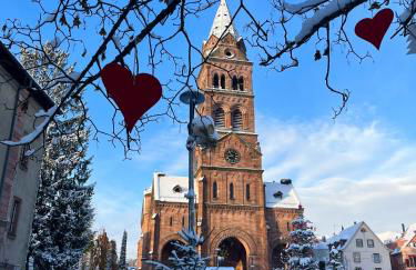 La Bourgogne en Alsace - charmant séjour familial - Foto 21
