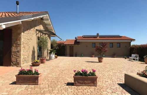 Il Casale degli Ulivi - Agriturismo - TENIMENTI LEONE - Foto 7