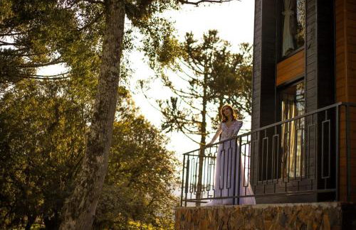 CABANA HORSES LA CONTEMPORANEA- vista ponto turístico Pedra Morro do Campestre -Asfalto até a Cabana - Photo 52