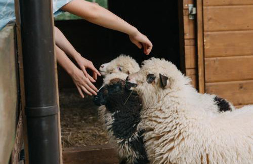 Osada Jelonki Wielka Puszcza - Foto 54