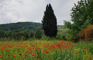 Sweet in Chianti - Foto 25