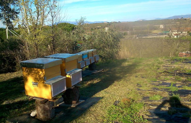 Country House Erba Regina - Foto 36