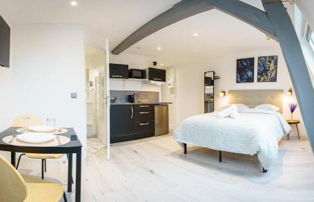 Le petit joyau de Voltaire - Foto 3