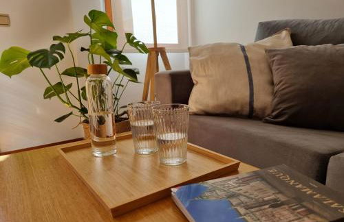 Salamanca Rentals - Apartamento con terraza a 1 minuto de la Plaza Mayor - Foto 41