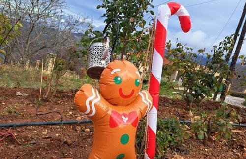 Ξενώνας Νικόλ - Photo 18