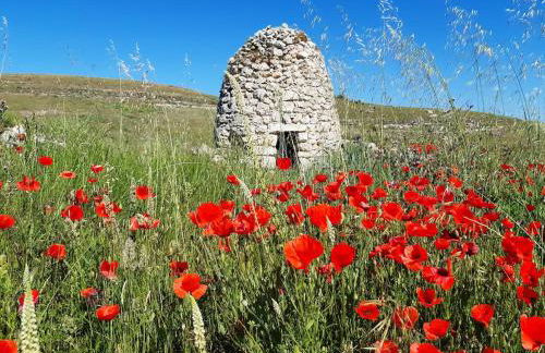 ALMA de la RIBERA - Foto 40