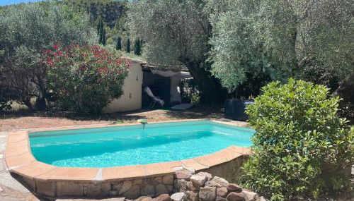 VILLA PROVENCALE AVEC PISCINE et SPA - Foto 3