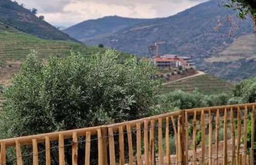 maison du olival - Photo 50