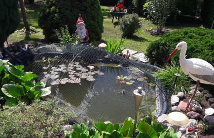 Mobile-Home - Foto 16