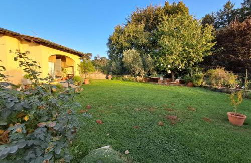 Il giardino segreto - Foto 21