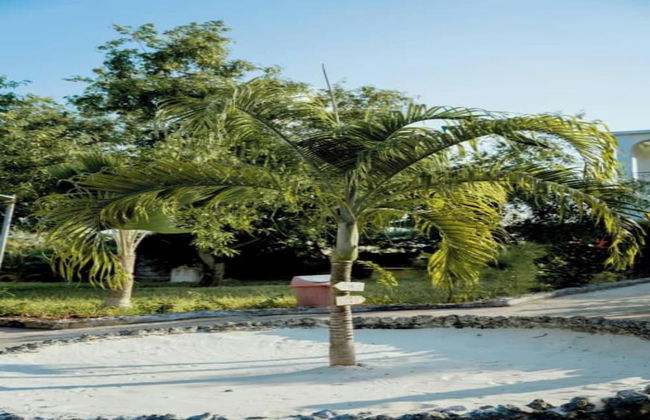 Villa Serenity Zanzibar - Foto 69