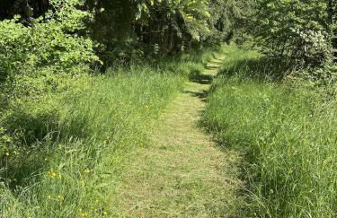 Rauszeit-Tiny Waldblick - Foto 35