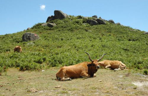 Casa de Campo Monte Abades - Foto 61