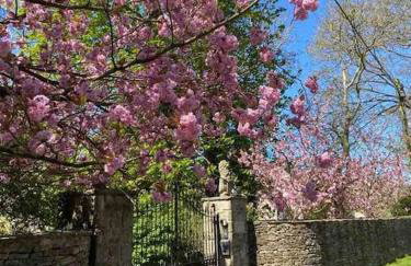 Luxury Cottage Dog friendly with Hot Tub - Foto 38