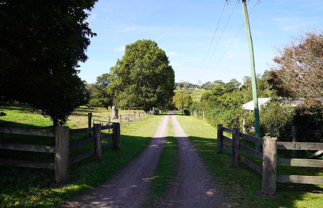 McCarthy Grove - Photo 19