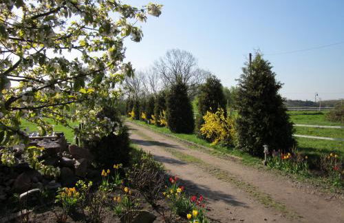 Landhaus Questin - Photo 3