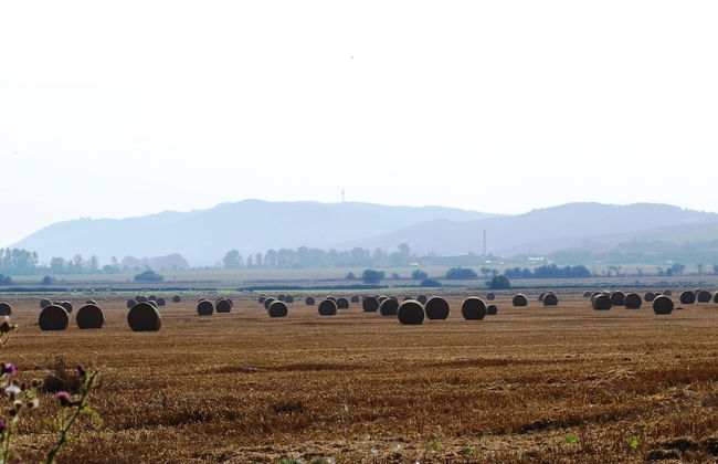 Chic Apartment in Thuringia With Sauna - Foto 63