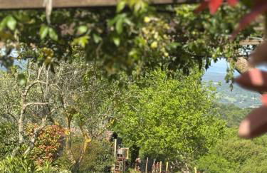 LA CAPANNA Casale in pietra con piscina - Foto 16