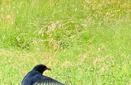 Haus an Fluss und See - Foto 58