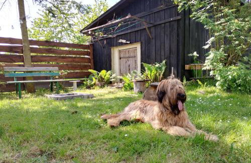 Lawendowy Domek agroturystyka, noclegi - 2,7 km od Bałtowa - Foto 38