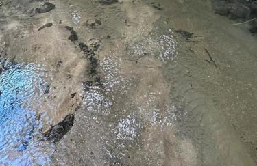 Um chalé e um riacho no meio da natureza - Foto 17