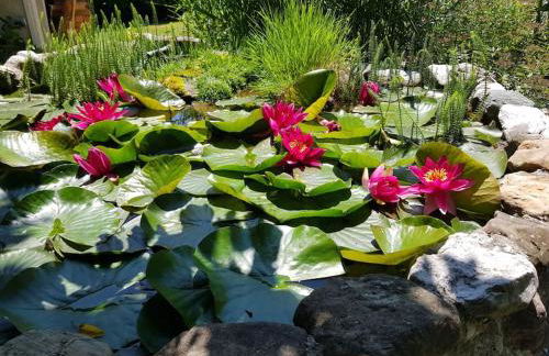 les cerisiers un havre de paix - Photo 7