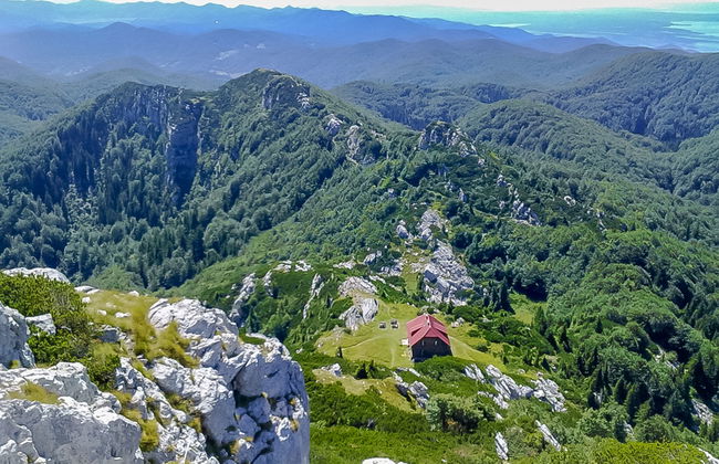 Lady Lavender - Foto 30