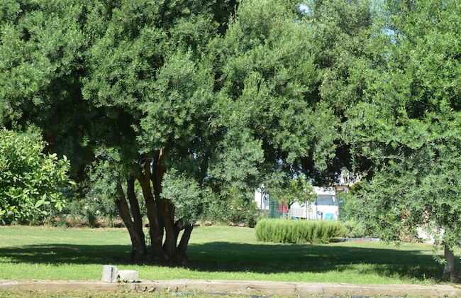 Villa Teti - Photo 48