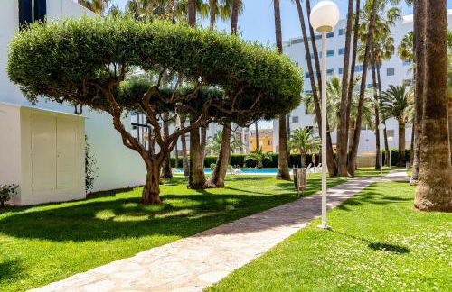 Apartamentos Tamarindos Peñiscola - Foto 44