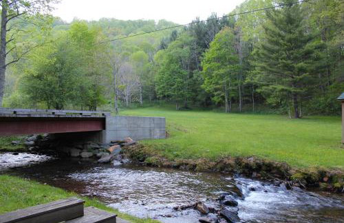 Roaring Creek - Photo 33