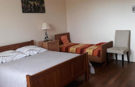 appartement "les goumis" - Photo 5