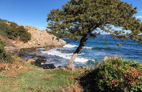 Orsa Maggiore Ottiolu - Foto 12