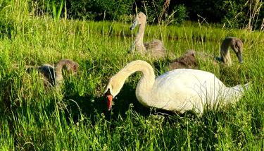Ziegelhüttenblick -auch für Monteure geeignet - Foto 5