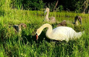 Ziegelhüttenblick -auch für Monteure geeignet - Foto 5