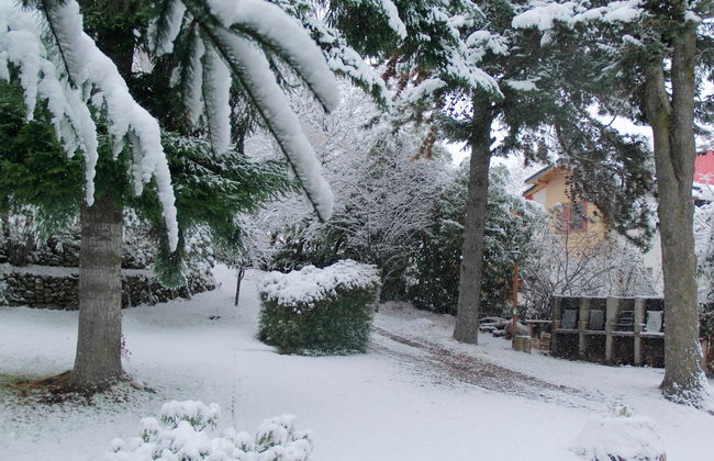 La Ponderosa Apart Hotel - Photo 49