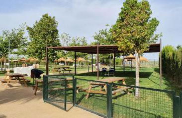 La Casa del Alfarero - Premio Andalucia de Artesania - Foto 10