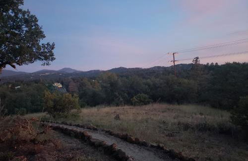 The Couple's Cabin in Wynola 2 NIGHT MINIMUM - Foto 35