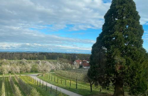 Bergchalet Mirabell - Hofgut - Foto 43