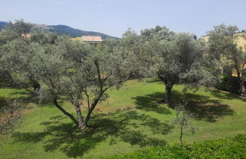 Dolce Relax - Calabria - Foto 22