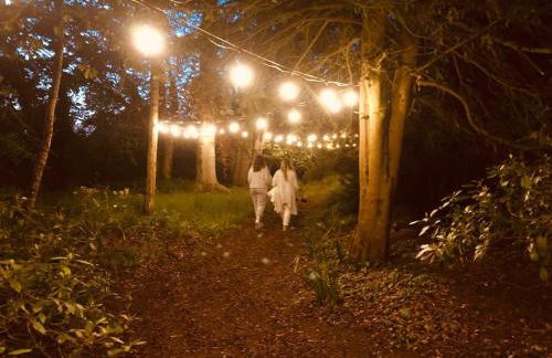 Somerleyton Meadows - Somerley House plus Hut & Hot Tub - Foto 7