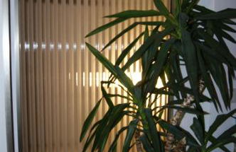 Ferienhaus Fräulein Frenz - Foto 53